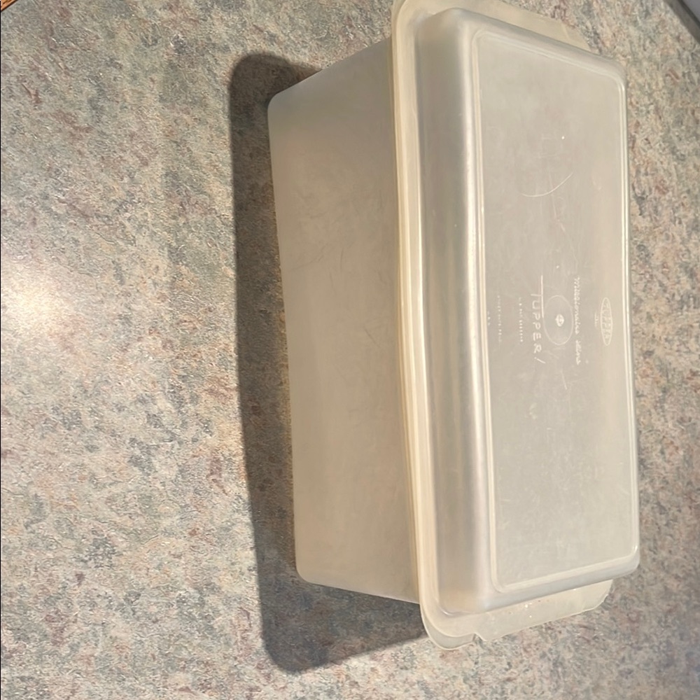 RARE - Earliest Production Vintage! “Tupper” Tupperware Sheer Storage Box